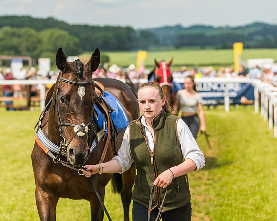 Race 3  - Open Maiden (7 of 67)