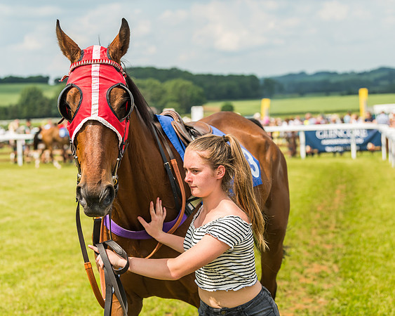 Race 3  - Open Maiden (8 of 67)