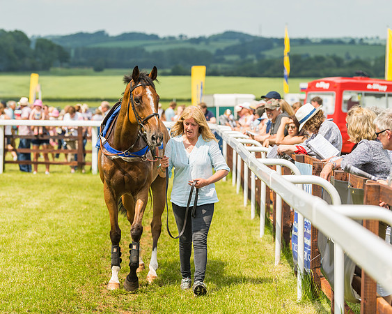 Race 3  - Open Maiden (9 of 67)