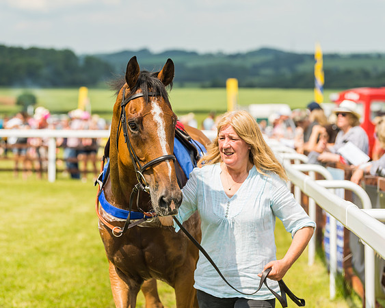 Race 3  - Open Maiden (10 of 67)