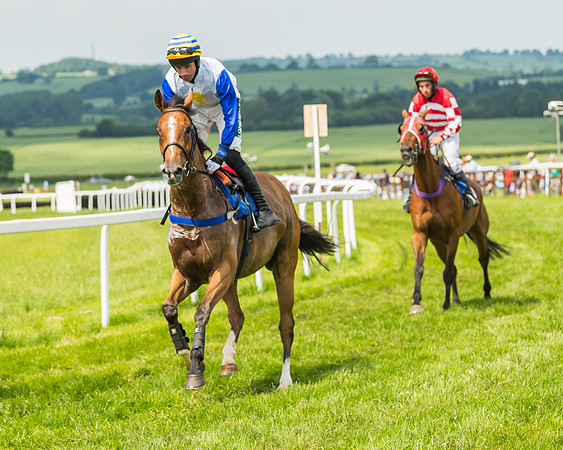 Race 3  - Open Maiden (14 of 67)