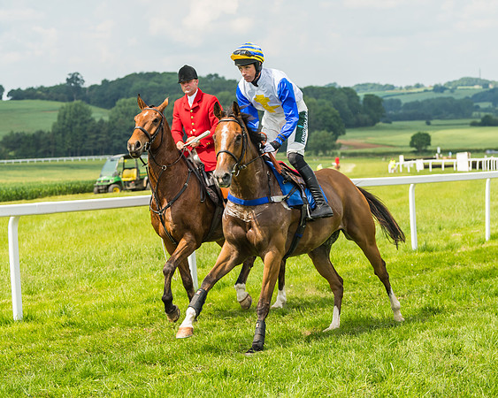 Race 3  - Open Maiden (15 of 67)