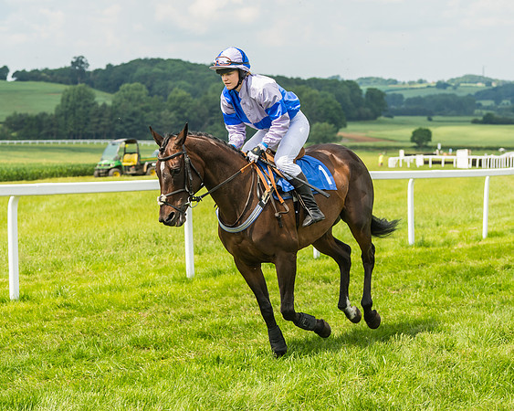 Race 3  - Open Maiden (17 of 67)