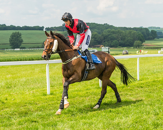 Race 3  - Open Maiden (20 of 67)