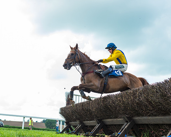 Race 4  - Timico Mixed Open  (55 of 66)