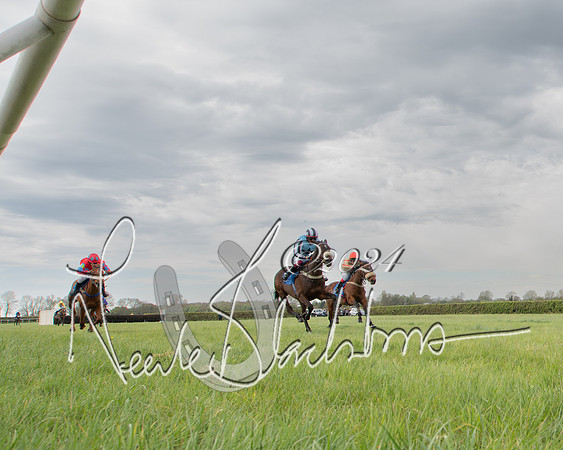 Pony Race 2 (46 of 84)-