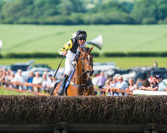 Joey Kangaroo - Dave Mansell
