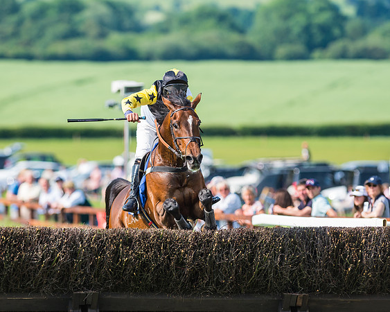 Joey Kangaroo - Dave Mansell