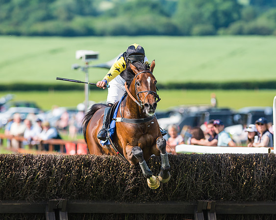Joey Kangaroo - Dave Mansell