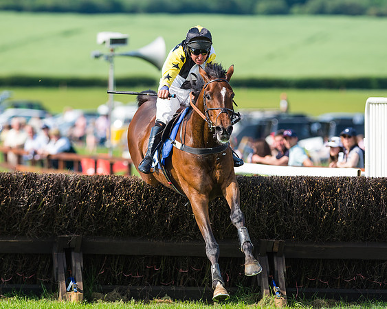 Joey Kangaroo - Dave Mansell