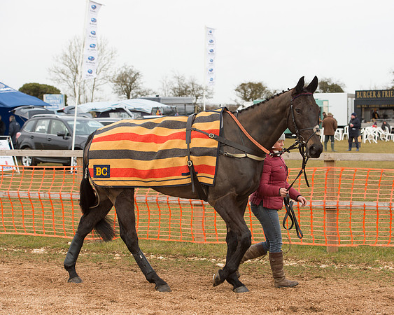 Race 4 - Ladies Open (4 of 85).jpg