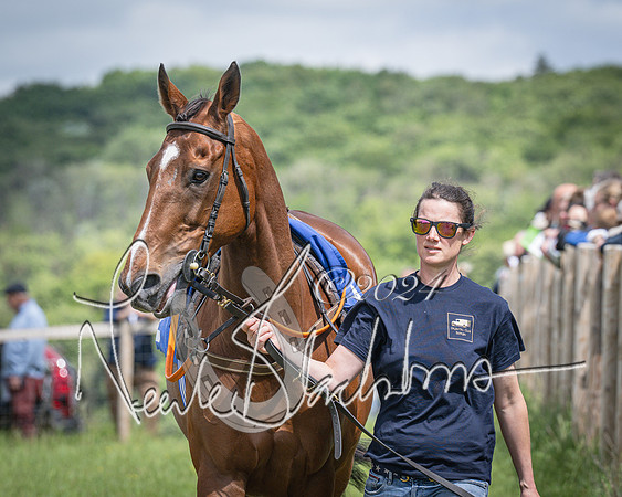 Race 1 - The owner-trainer Conditions race (9 of 118)