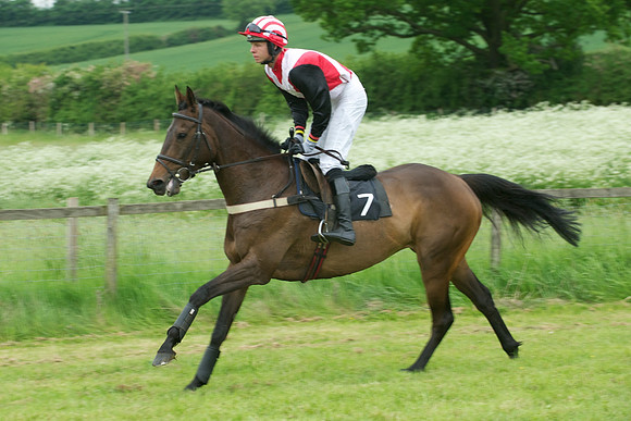 Race Six 17