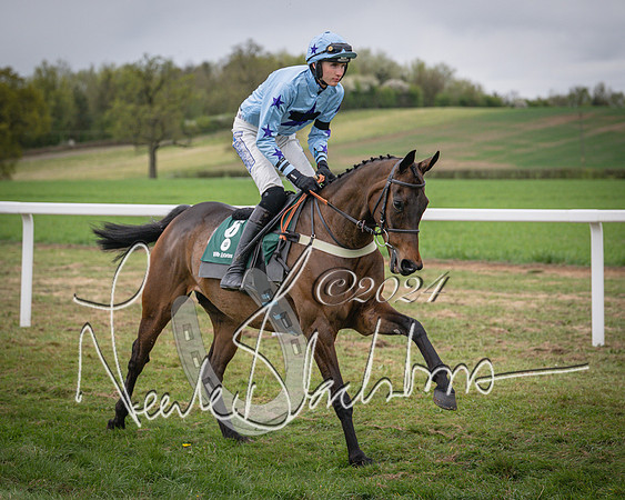 Race 6 - The Restricted Race (5 of 101)