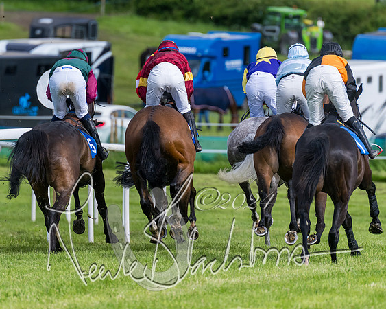 Race 5 - Restricted Race (231 of 434)