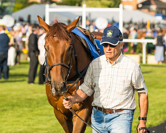 Garde Ville - Stephen Paul Davies