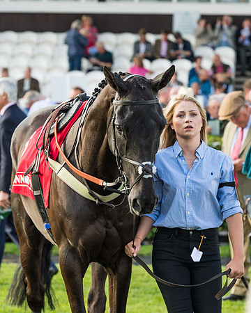 Owen Glendower - Hannah Gregory