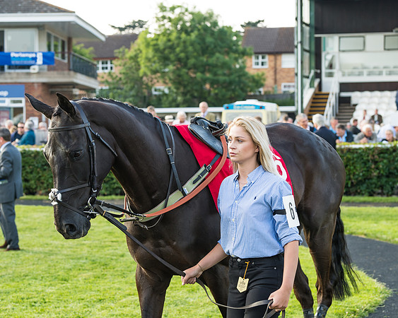 Owen Glendower - Hannah Gregory