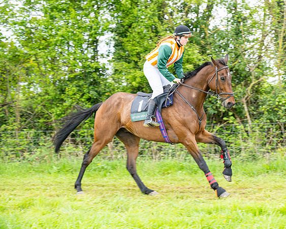 Race 2 - 2M4F Conditions (39 of 195)