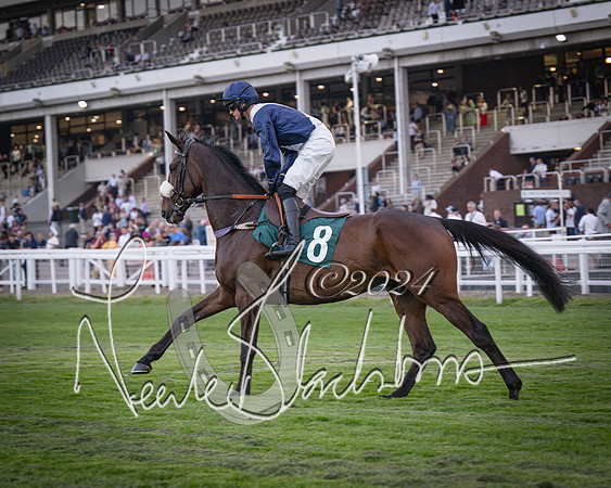 Race - 7 The Royal Gloucester Hussars Open Hunter's steeplechase 2m4f 127y (42 of 210)