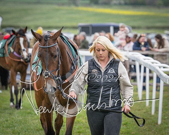 Race 2 - Tattersalls Cheltenham 4 year old Maiden (6 of 85)