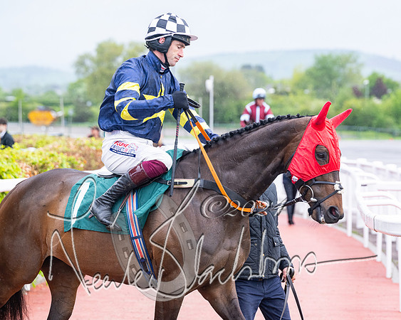 Race 5 - Mares Open  (17 of 129)