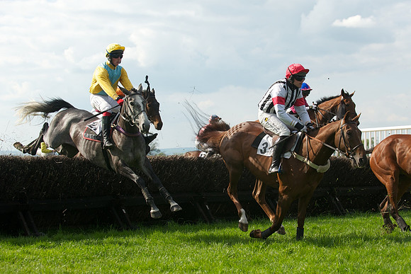 Race 6 -  24