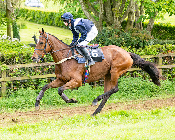 Race 5  - Novice riders (46 of 188)