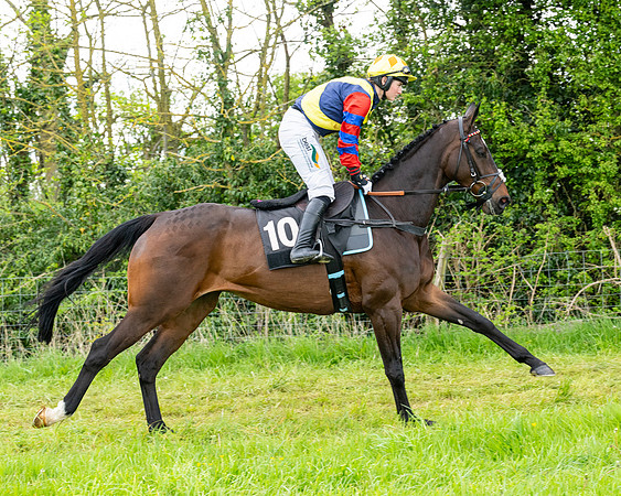 Race 2 - 2M4F Conditions (50 of 195)