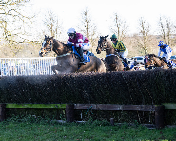 Race 5 - Maiden (80 of 123)