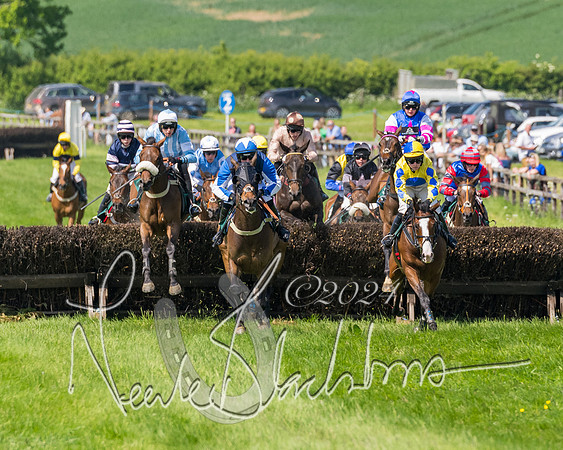 Race 2 - The Maiden  (204 of 442)