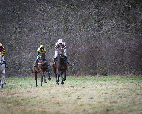 Race 3 - Ladies Open (21 of 109)