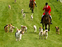 Ponies and Hounds 13