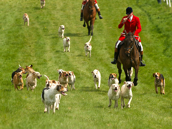 Ponies and Hounds 13