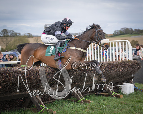Race 3 - 5 years old and Over Maiden Race (81 of 130)