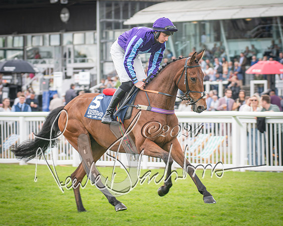 Race 1 - Pointing Pointers Restricted Final (30 of 79)