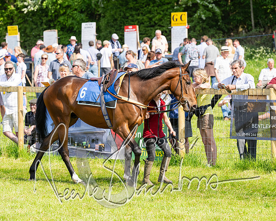 Race 5  - Maiden race 2m5F Div-1 (36 of 197)