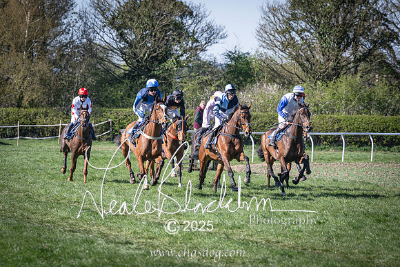 Race 6 - Veteran horse (48 of 109)