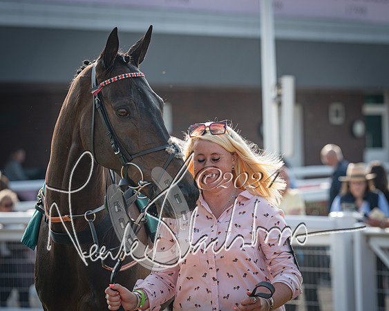 Race 2 - The Venatour sports travel intermediate point to point hunters’ steeplechase 5 year olds and over 3m2f (4 of 163)