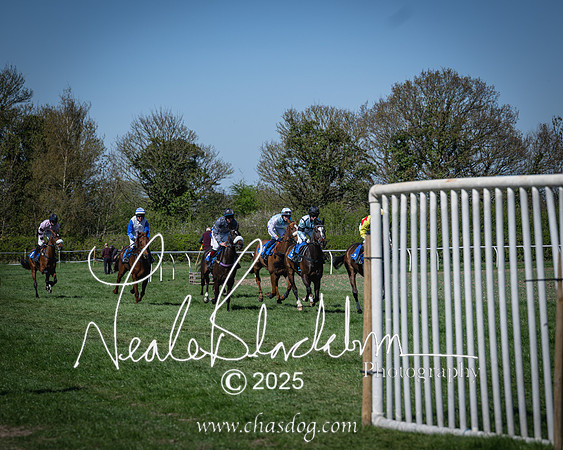 Race 2 - The Maiden (48 of 118)