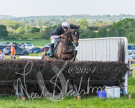 Race 7 - Veteran Horse (159 of 246)