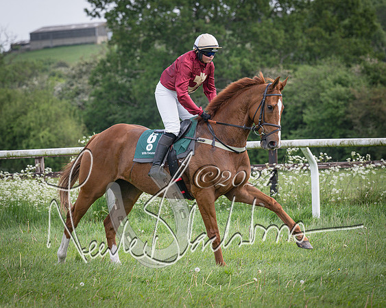 Race 1 - the Grafton adjacent hunts conditions race (level 2) (30 of 120)