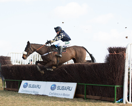 Race 1 - 4-5-6 Maiden (95 of 119).jpg