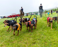Race 7 - Hound Race etc (12 of 108)