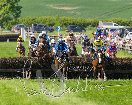 Race 2 - The Maiden  (202 of 442)
