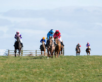 Oakley Ponies (6 of 96).jpg