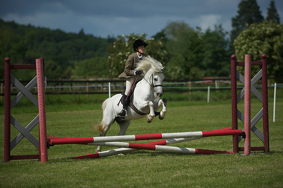 SOHS PC Summer Show at BCA 17th June 2012