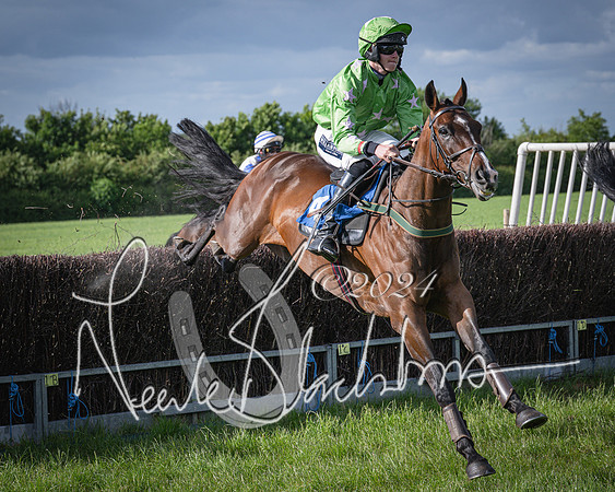 Race 6 - Thorn Plant Hire Maiden Race (56 of 129)