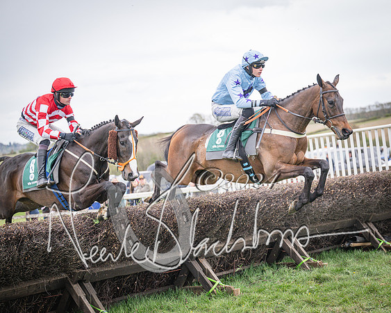 Race 6 - The Restricted Race (38 of 101)