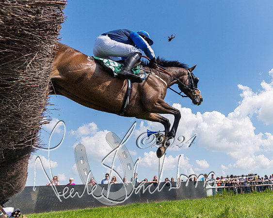 Race 2 - The Maiden  (151 of 442)